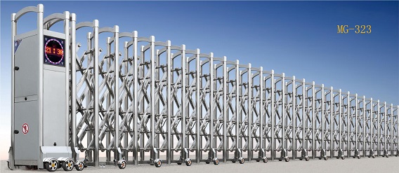 1584166104203365.jpg MG-323.jpg